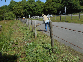 写真：作業４