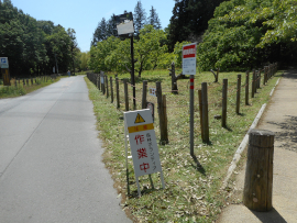 写真：作業９