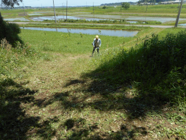 写真：作業１６
