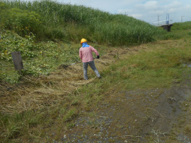 写真：作業４