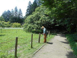 写真：作業４
