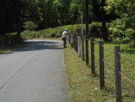 写真：作業９
