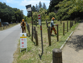写真：作業１２