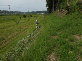 写真：作業４