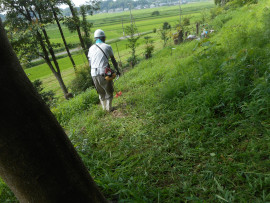 写真：作業５