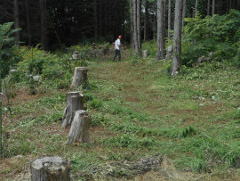 写真：作業７