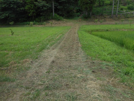 写真：作業９