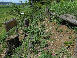 写真：作業１２