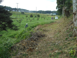 写真：作業６