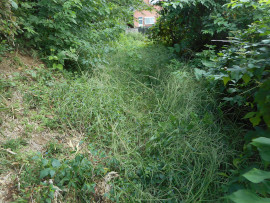 写真：作業８