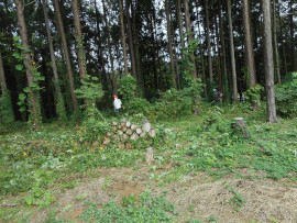 写真：作業３