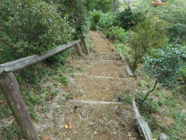 写真：作業５