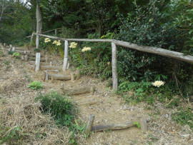 写真：作業１０