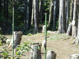 写真：作業１０