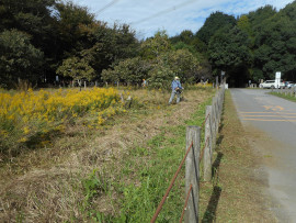 写真：作業２