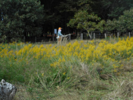 写真：作業４