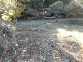 写真：作業１０