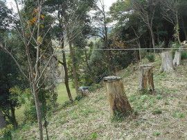 写真：作業１