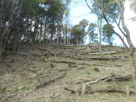 写真：作業８