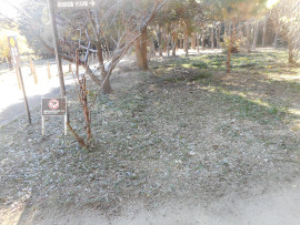 写真：作業６