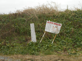 写真:作業1