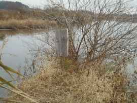 写真：作業７