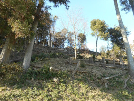 写真：作業１６