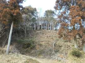 写真：作業１０