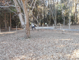 写真：作業２