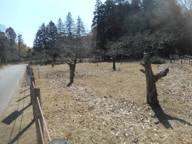 写真：作業９