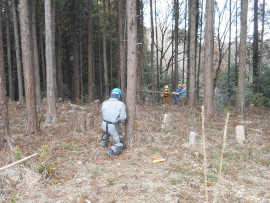 写真：作業１０