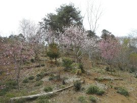 写真：作業８