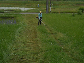 写真：作業１２