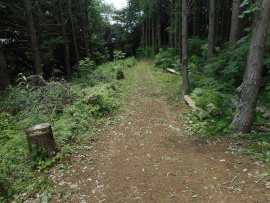写真：作業１５