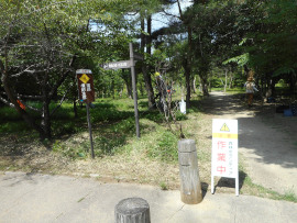 写真：作業１