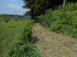 写真：作業３