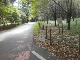 写真：作業３