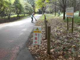 写真：作業４