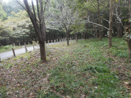 写真：作業６