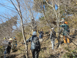 写真：作業１１