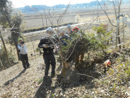 写真：作業１３