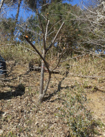 写真：作業１４