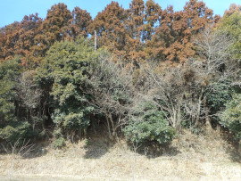 写真：作業１