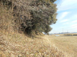 写真：作業３
