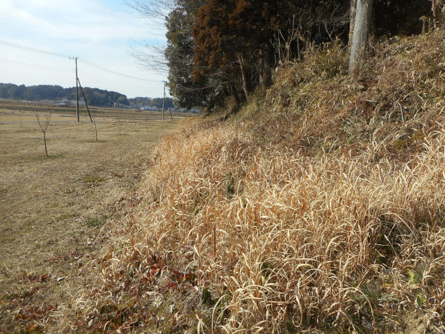 写真：作業４