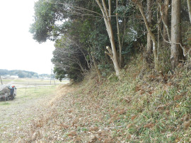写真：作業６