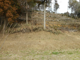 写真：作業１２