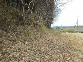 写真：作業１３