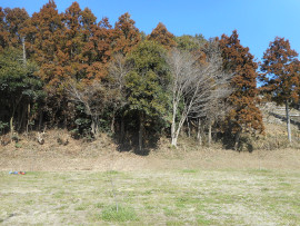 写真：作業１４