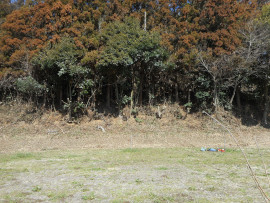 写真：作業１５